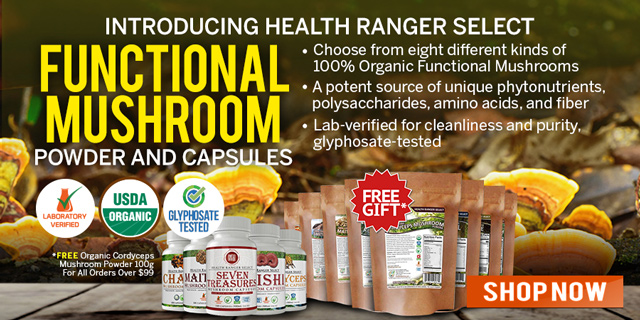 Functional Mushrooms