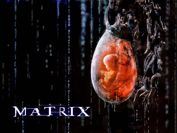 Matrix-PodGrown.jpg