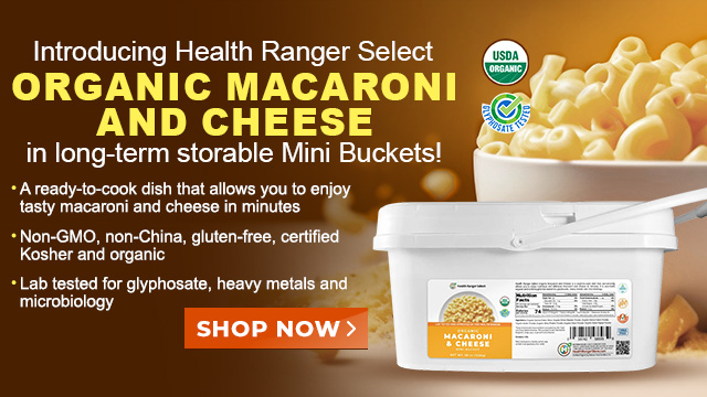 Mini Bucket - Organic Macaroni and Cheese
