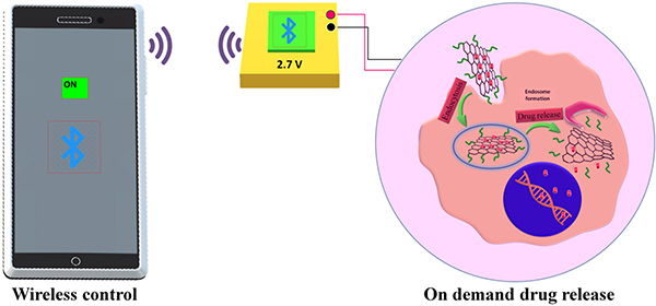 vettore-uccisione-distanza-5g-documento-scientifico-rivelatore