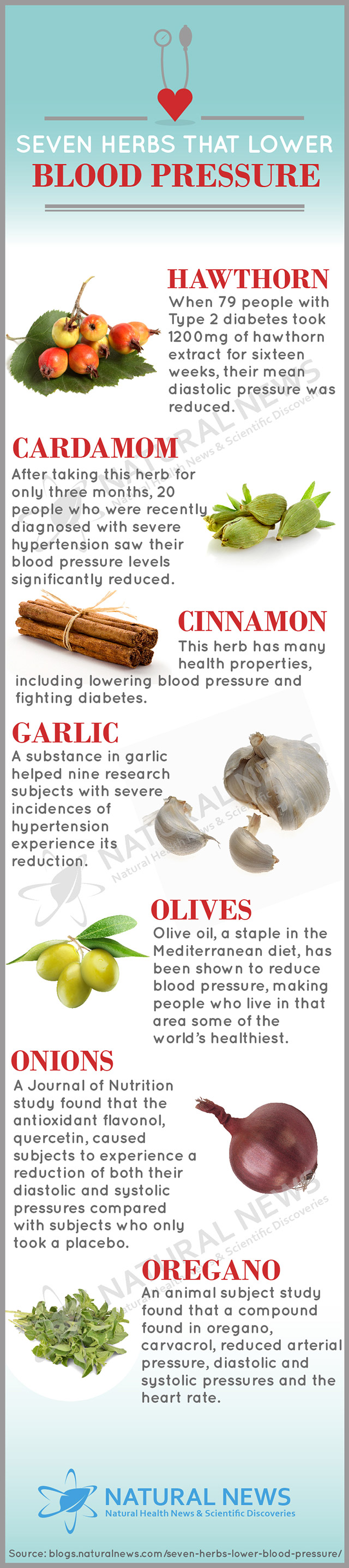Seven Herbs That Lower Blood Pressure