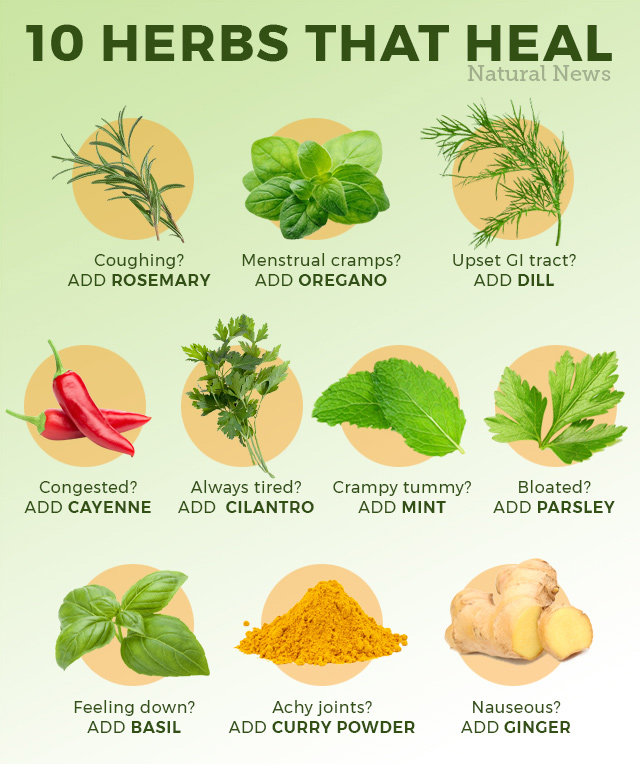 10 Herbs That Heal Naturalnews Com