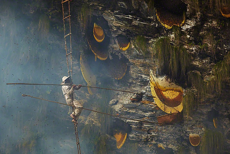 Credit: Andrew Newey Photography