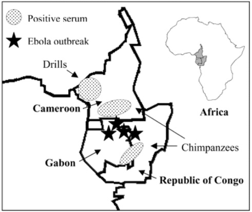 ebola-congo