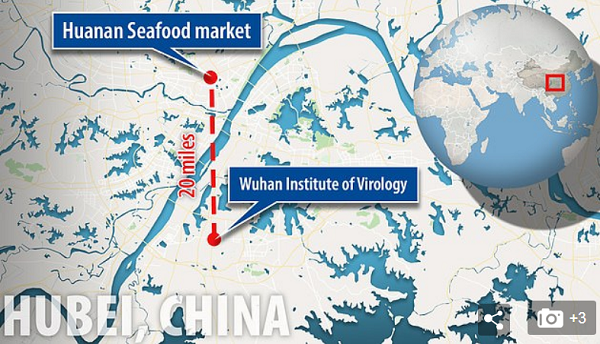 The corona virus accident. Wuhan-china-map-BSL-4-biohazard-facility