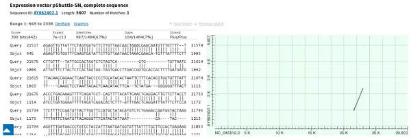 addgene-pshuttle-gene-sequence Irrefutable: The coronavirus was engineered by scientists in a lab using well documented genetic engineering vectors that leave behind a fingerprint [your]NEWS