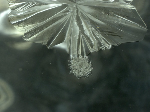 Cell Tower Transmissions Interfering With Xylitol Crystal Formation, Showing Disruption of “Morphic Resonance” Xylitol-4g-006-600