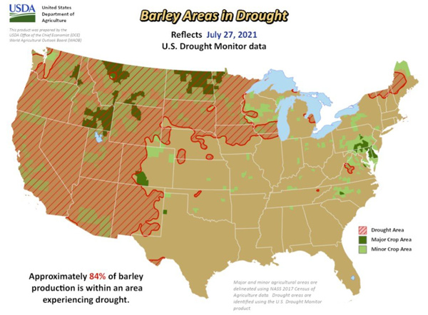 Mass starvation: Biblical droughts on track to destroy U.S. crops ...