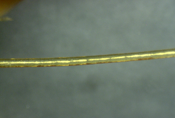 Nanowire-clot-200x.png.png