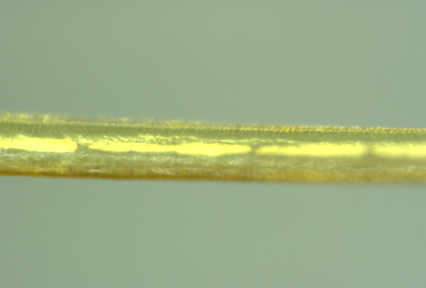 Nanowire-clot-500x-2.png.png