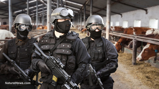 SWAT-Raid-Dairy-Farm