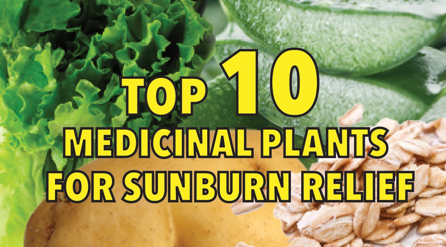 Top 10 medicinal plants for sunburn relief
