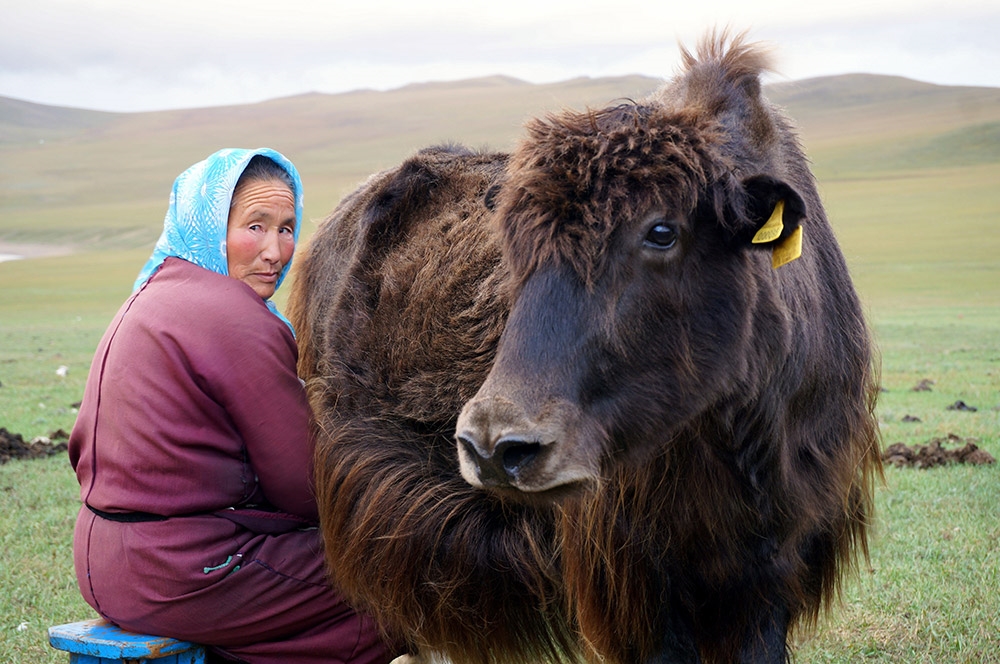 Yak-milk-1000