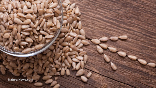 Collecting-Seeds-Sunflower