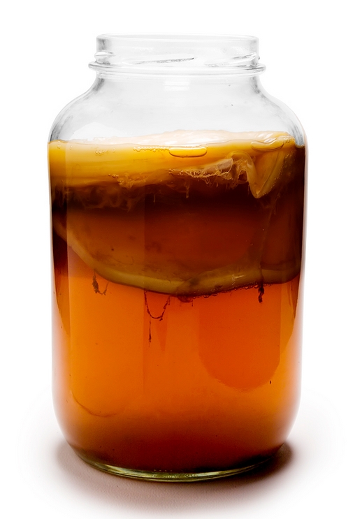 Kombucha tea