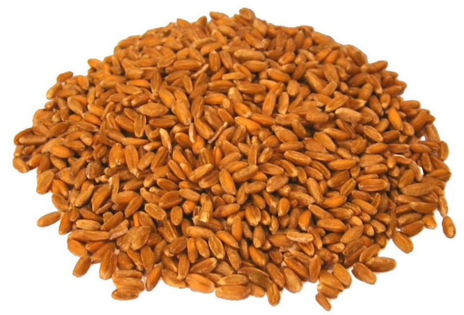 Screen Shot 2016-02-10 at 22.56.47