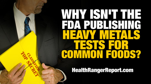Why-FDA-Heavy-Metals-Tests-Common-Foods-480
