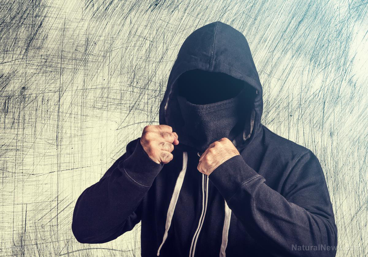 Image: “Resistance” Democrats are a far-Left terrorist party committed to overthrowing our government