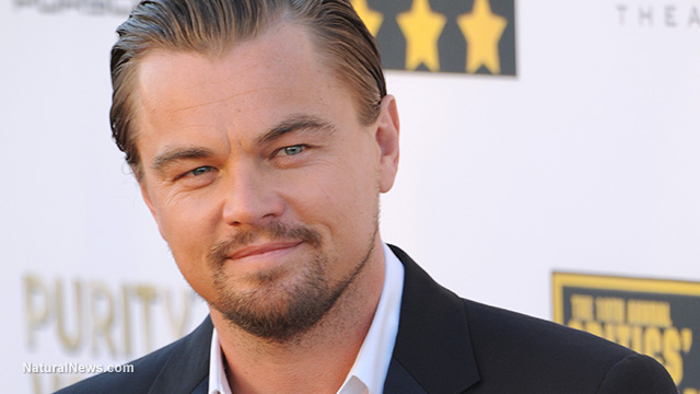 Image: Massive embezzlement scheme entangles Leonardo DiCaprio and his non-profit foundation