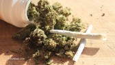 Prescription-Marijuana-Drugs-Joint-Bottle