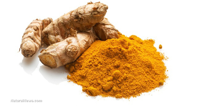 Image: Study: Brain Stem Cells can be activated and regenerated by Turmeric Compound