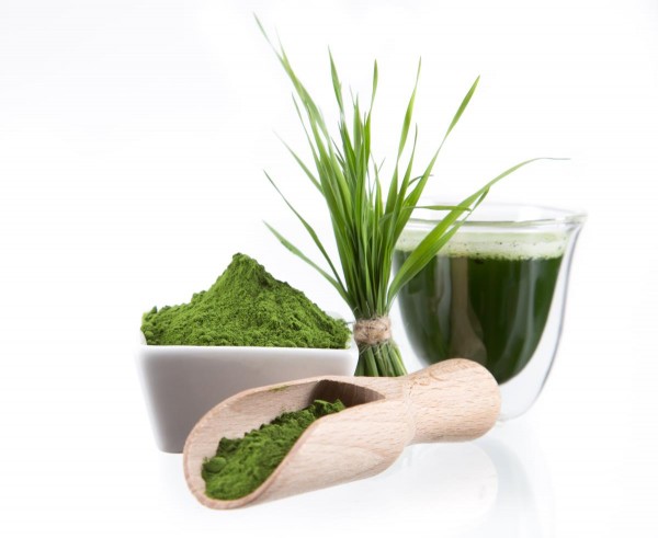Image: Wheatgrass heals 74-year-old man with cancer, after doctors give him only weeks to live