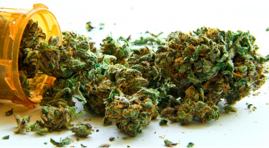 Image: Cities in Florida Plan to Block Medical Marijuana Legalization