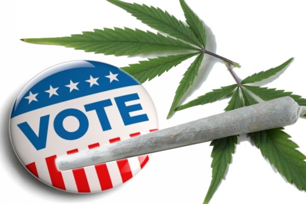 Image: Massachusetts joins the list of legal marijuana states