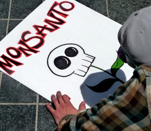 Image: Polluted China now imitating Monsanto by jumping into the GMO seed industry