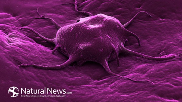 Image: Bowel cancer risk skyrockets after taking antibiotics for just two weeks