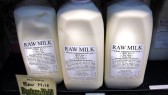 raw-milk-hero