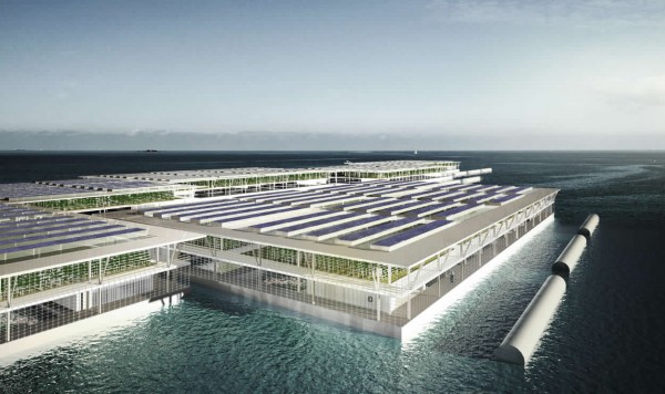 Image: Floating farm of the future to produce 20 tons of vegetables a day