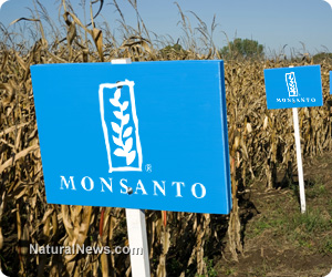 Image: Farmers and conservation groups suing the EPA for approving Monsanto’s “XtendiMax” pesticide