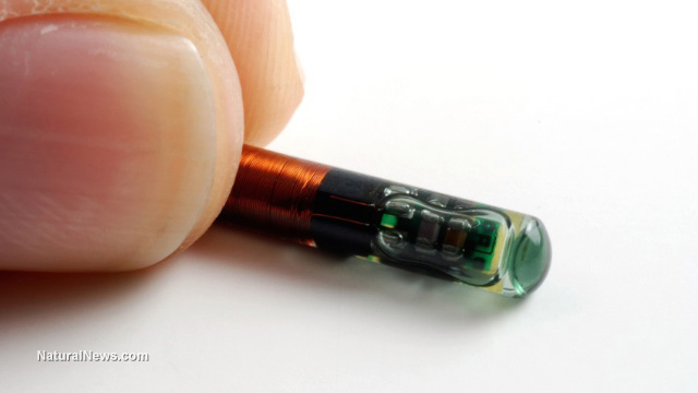 Image: Lawmaker introduces bill to prohibit forced microchipping