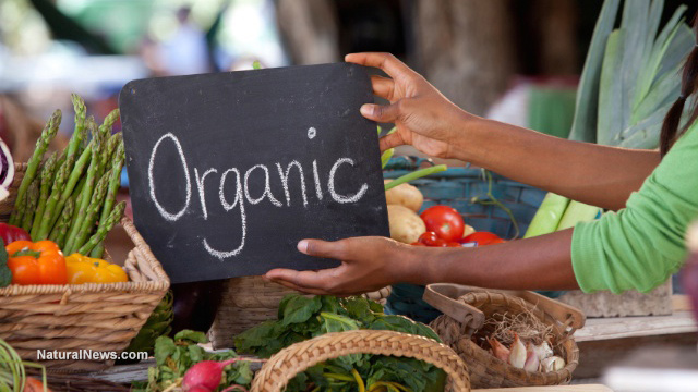 Image: 82% of households are now purchasing organic items