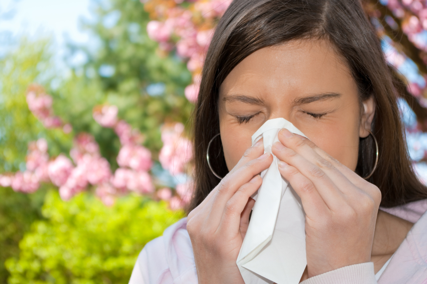Image: Allergy alert: How to naturally treat the spring sniffles