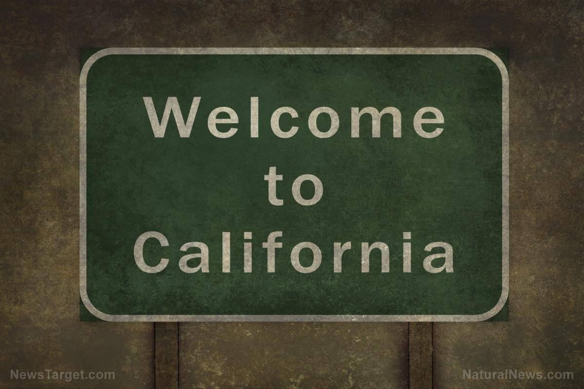 Image: Liberal cities in California becoming homeless wastelands as socialist policies FAIL