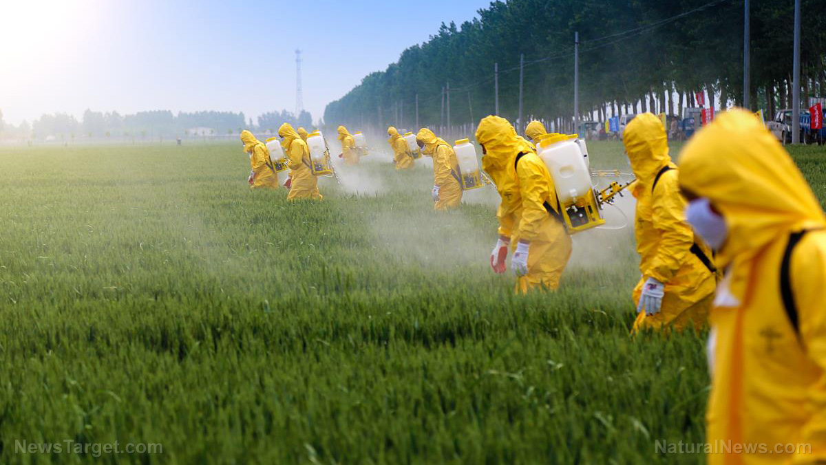 Image: A deadly pattern of collusion and deceit: Both industry and regulators are aware of the dangers of pesticides