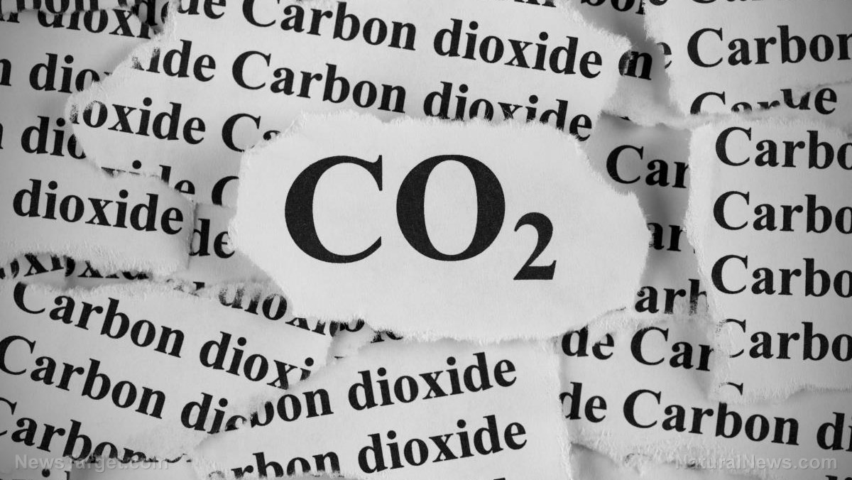 Image: Scientists develop clean fuel using CO2, proving again how essential carbon dioxide is to human life