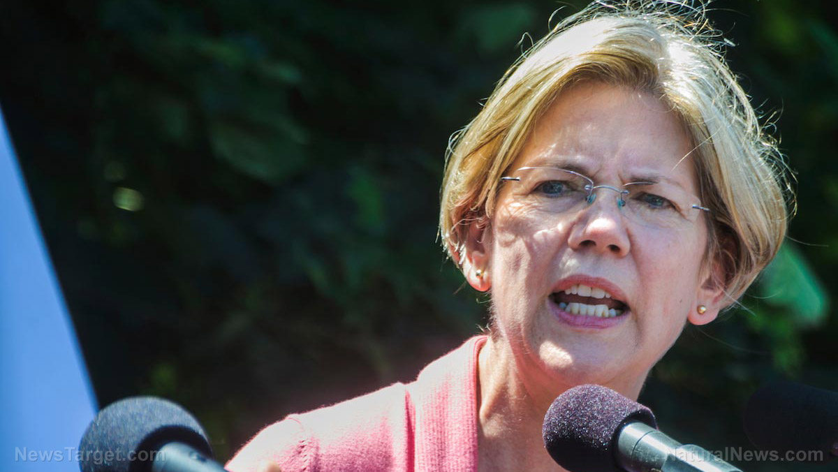 Image: Elizabeth Warren pushing for government-run health care system to “solve” the problem of government-run health care systems