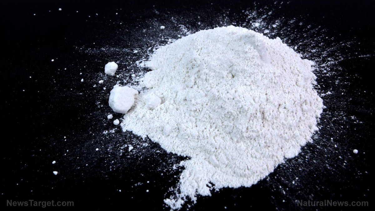 Image: Why and how to use diatomaceous earth for your body and home
