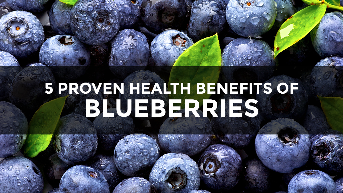 If blueberries were pharmaceuticals, they would be hailed as the greatest “miracle” health breakthrough in the history of medicine Blueberries-featured-1