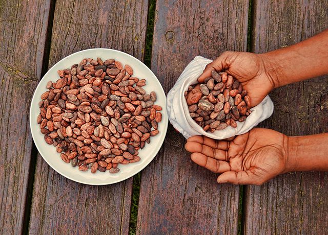 Image: People are using cacao to get high… here’s the chemical that makes it happen