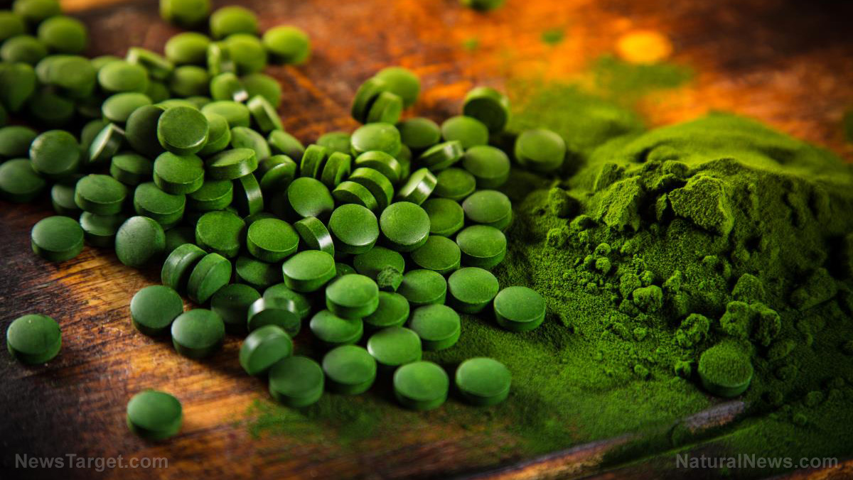 Imagen: Chlorella se encuentra para mejorar dramáticamente la salud cardiovascular