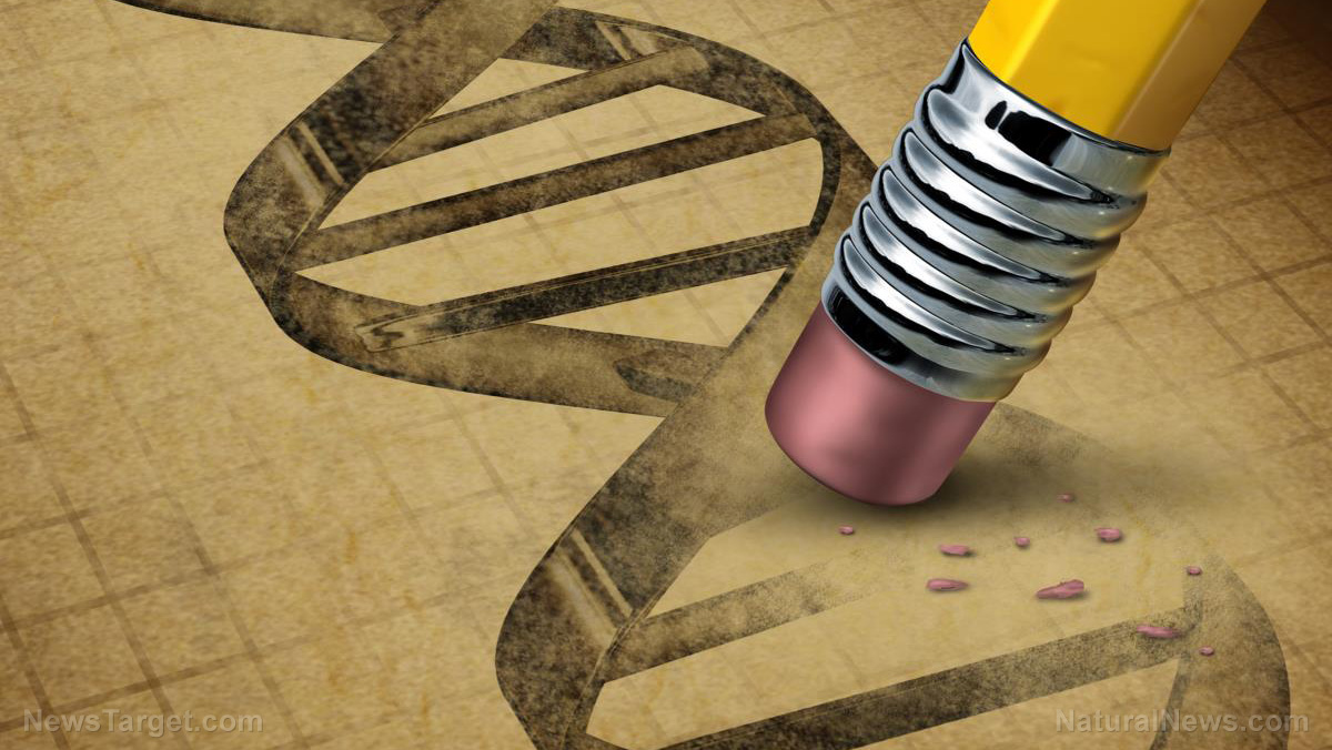GM humans: New vaccines made with synthetic genes will alter your DNA Dna-Gmo-Enzyme-Biopharmaceutical-Pencil-Chemical-Medical