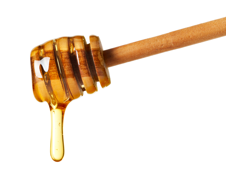 Image: HONEY: Is this ancient medicinal food the key to fighting deadly drug-resistant infections?