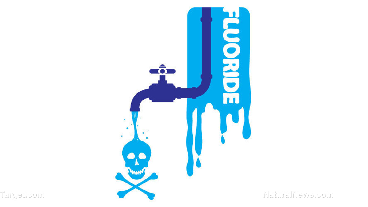 Image: ANOTHER study confirms the detrimental effects of water fluoridation on the IQs of children