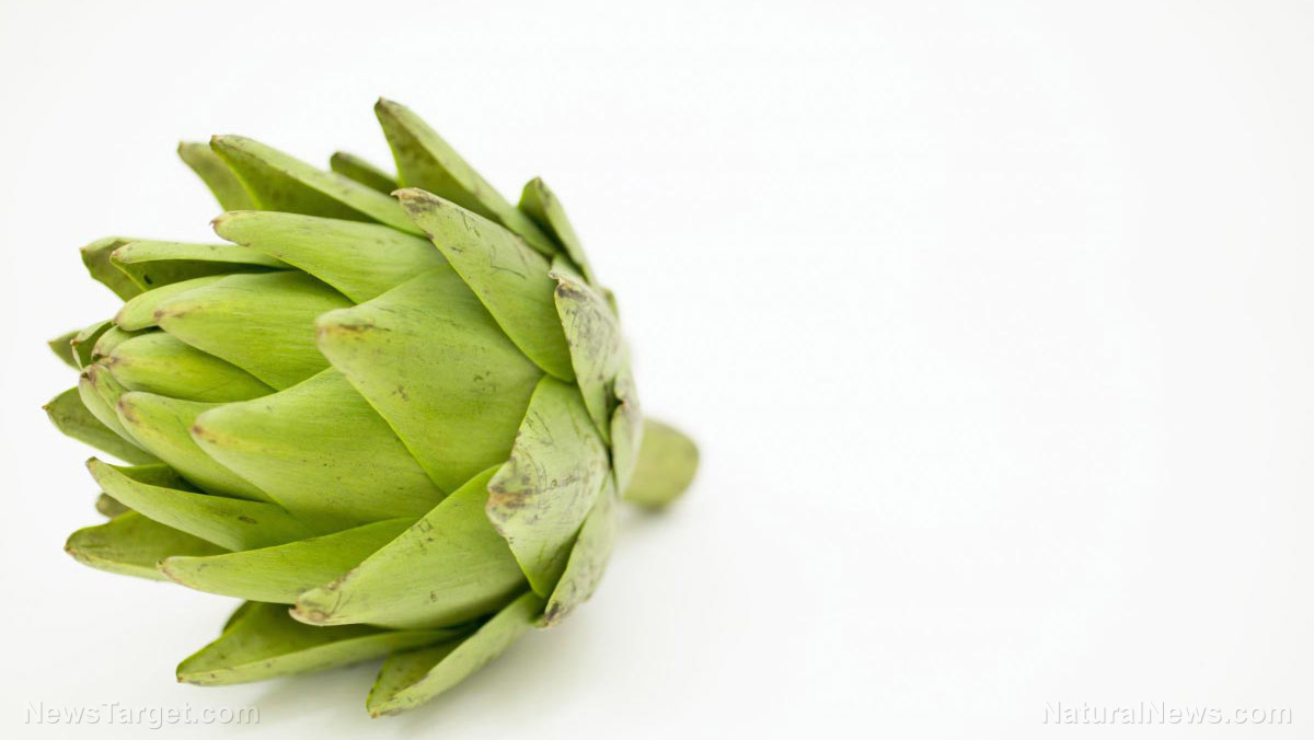 Artichoke extract found to lower high cholesterol and protect the liver from alcohol damage Whole-Artichoke-Vegetable-Leaves
