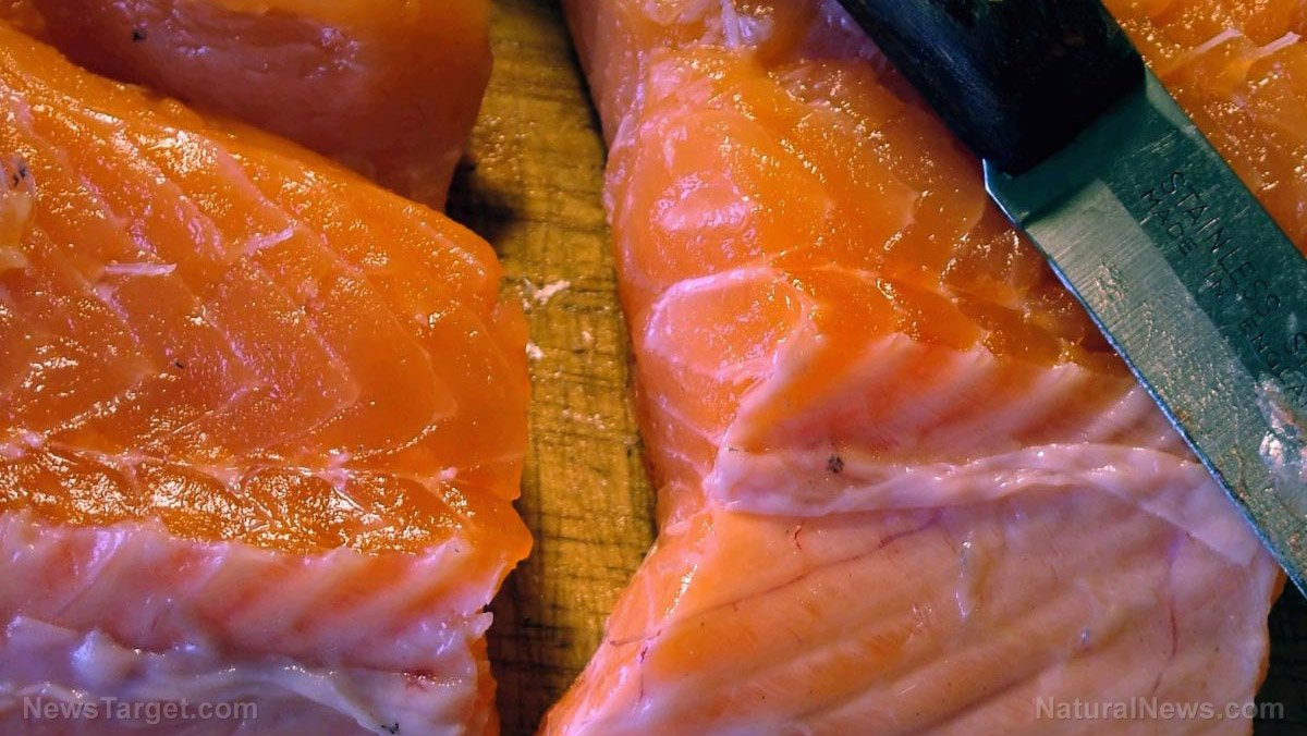 Make your own cannabinoids from omega-3 oils: Your body does this automatically Salmon-Fillets-Meat-Seafood-Omega-3-Oils