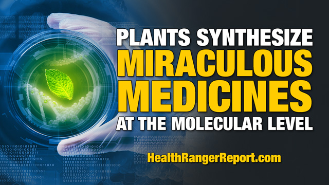 Image: Health Ranger: Plants synthesize miraculous medicines at the molecular level